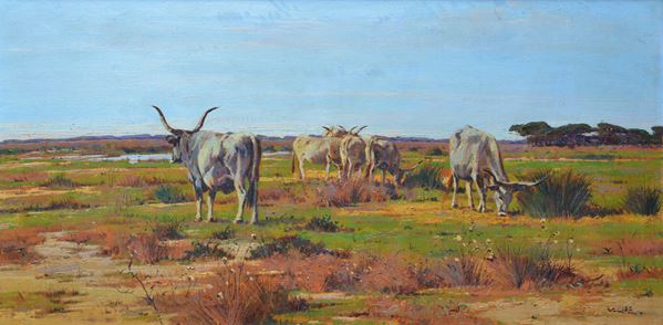 Angiolo Volpe - Vaccini al Pascolo (Maremma.Torre della Trappola)