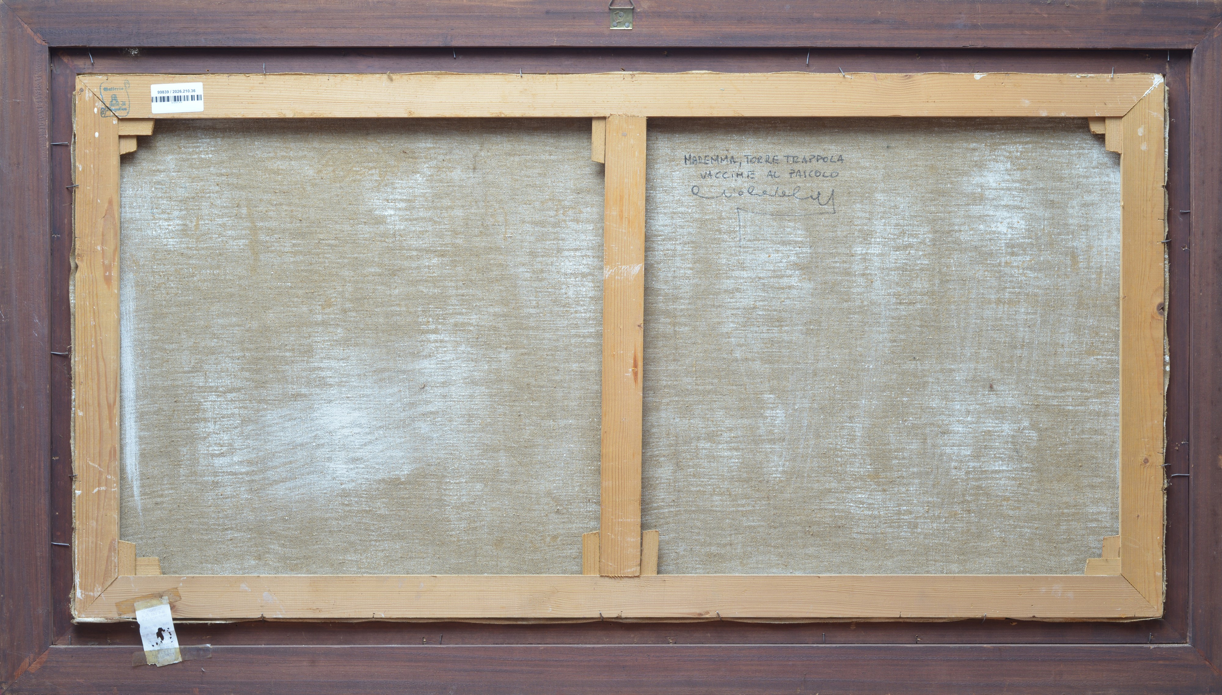 Vaccini al Pascolo (Maremma.Torre della Trappola)