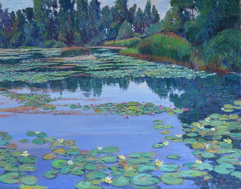 Ninfee nel laghetto di Azzano Decimo