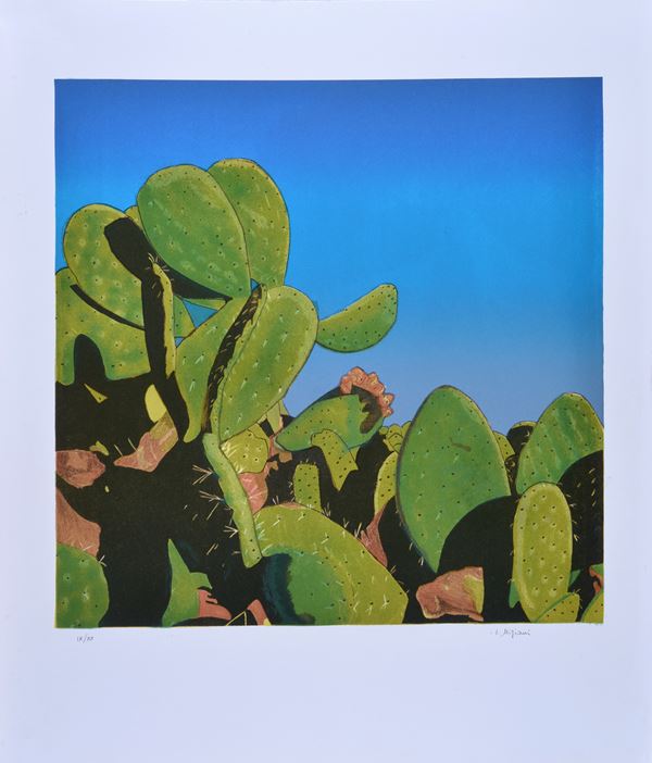 Impero Nigiani - Cactus