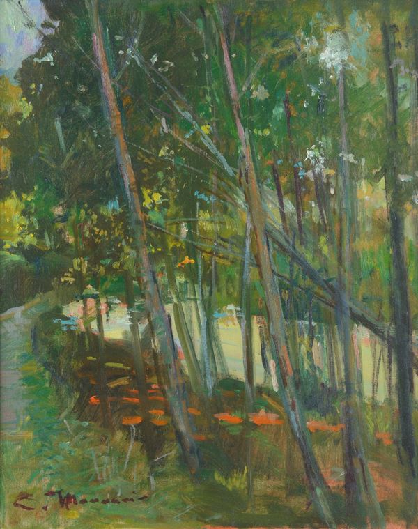 Cipriano Mannucci - Paesaggio fluviale