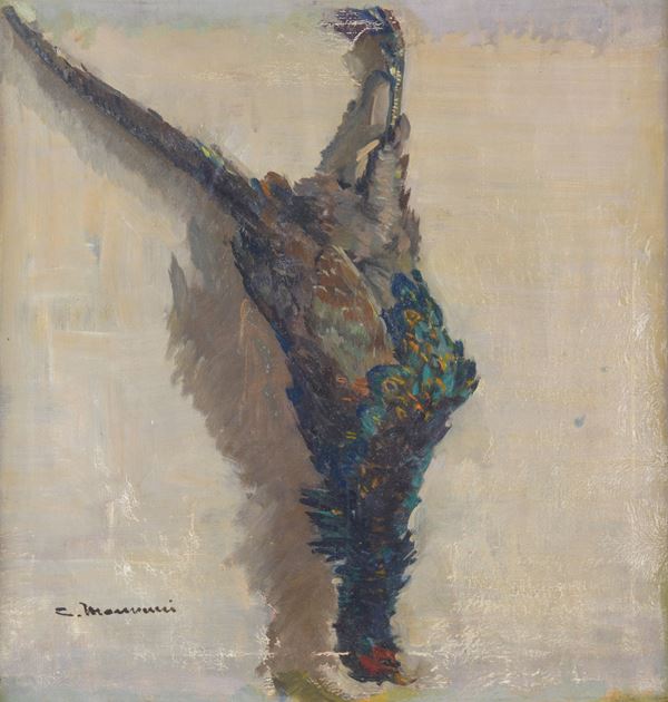 Cipriano Mannucci - Fagiano