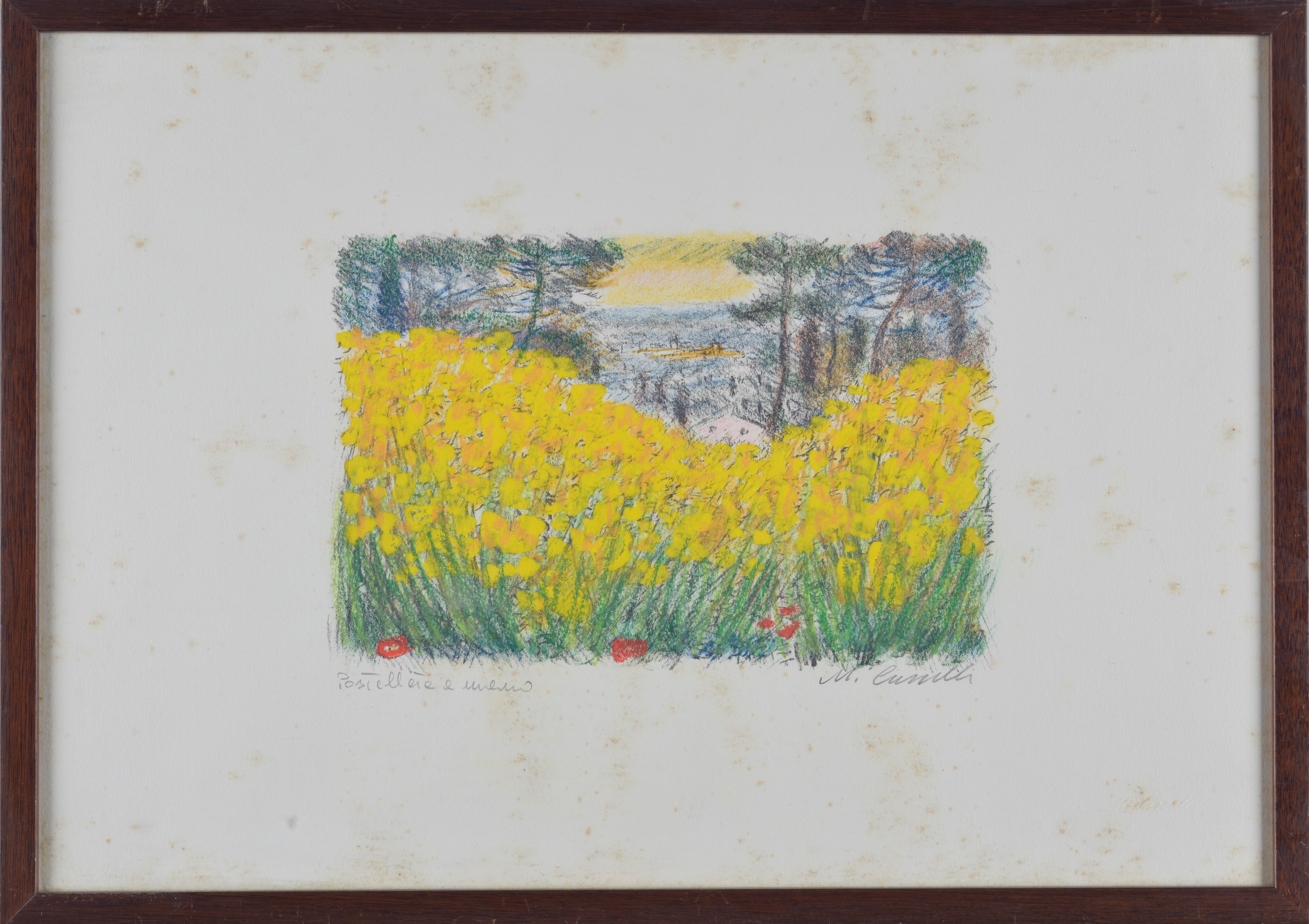 Michele Cascella - Campo fiorito