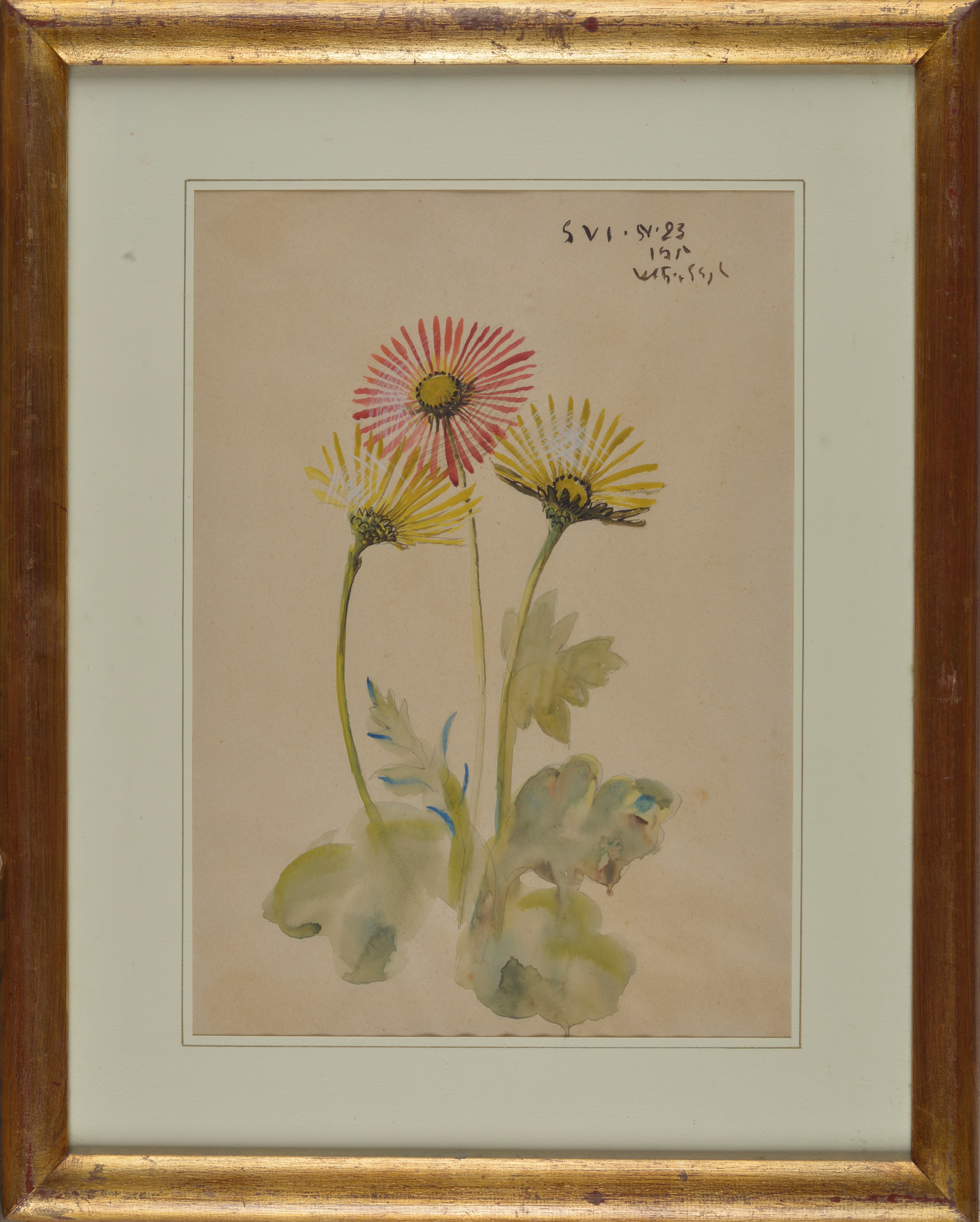 Fiori