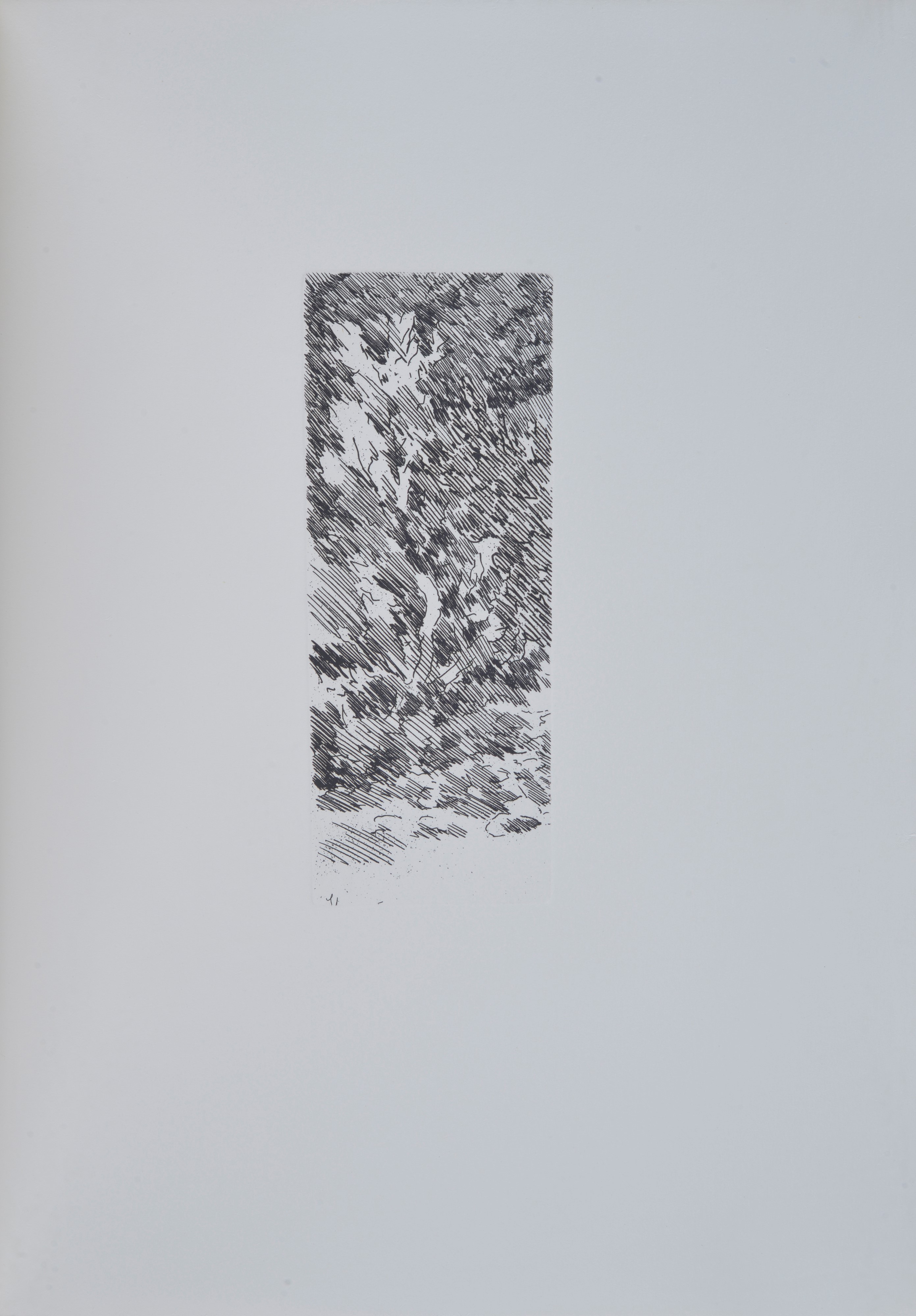Leonardo Castellani - Carte sotto stampa