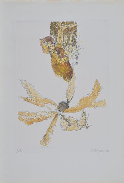 Senza titolo (acquaforte), 1970