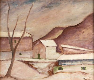 Paesaggio innevato