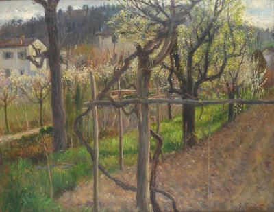 Primavera Fiorita