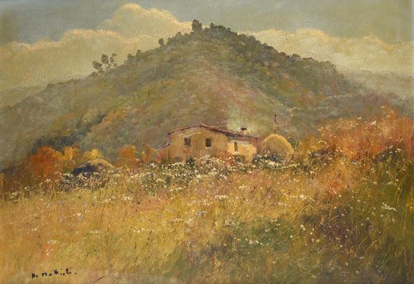 Armenio Mattioli - Campagna