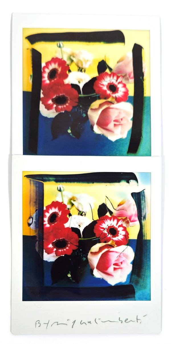 Maurizio Galimberti - BiFlowers