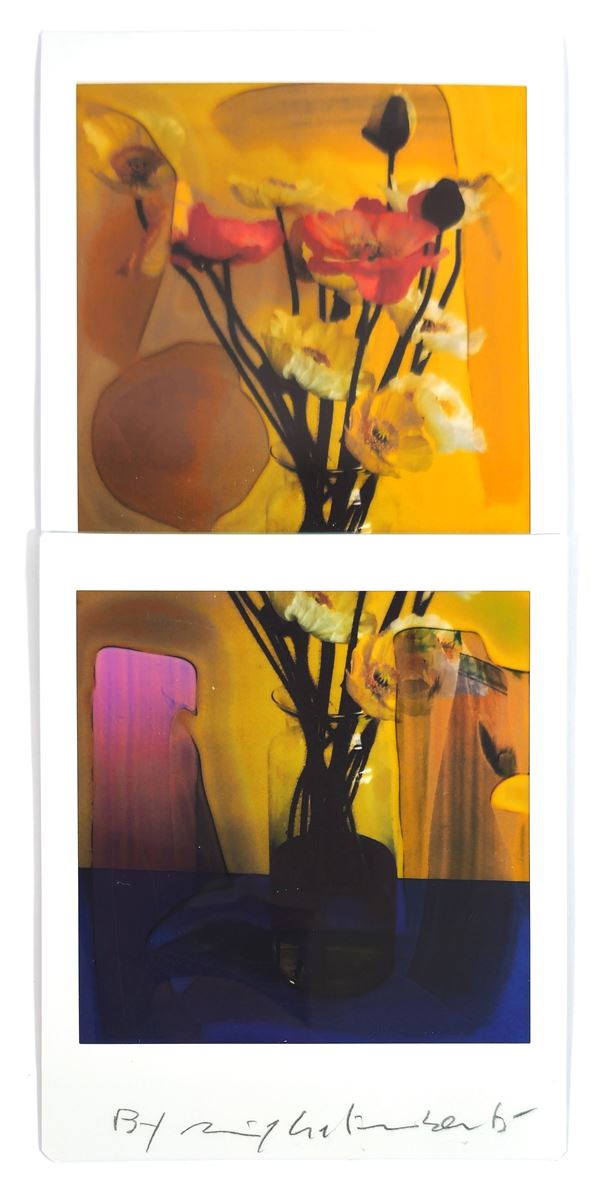 Maurizio Galimberti - BiFlowers