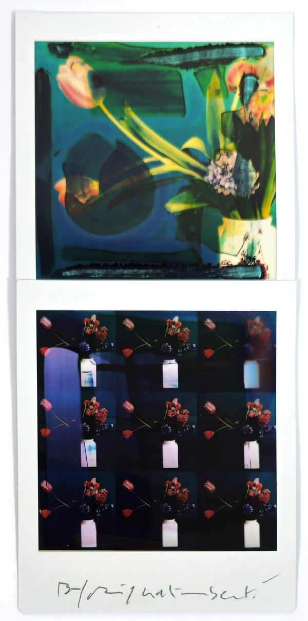 Maurizio Galimberti - BiFlowers