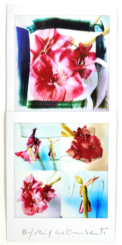 BiFlowers — mosaico in edizione originale (Mosaico 2 Fujifilm instax)