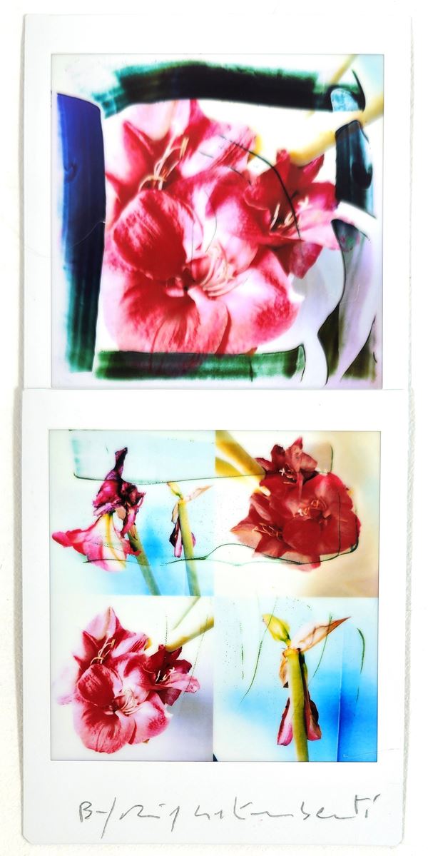 Maurizio Galimberti - BiFlowers