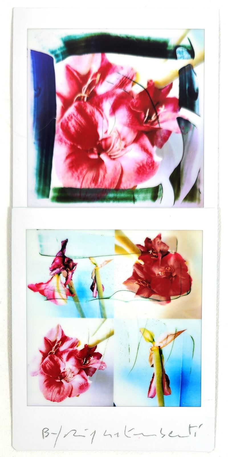 Maurizio Galimberti - BiFlowers — mosaico in edizione originale (Mosaico 2 Fujifilm instax)