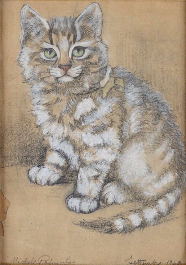Michele Palumbo - Gatto