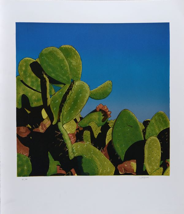 Impero Nigiani - Cactus