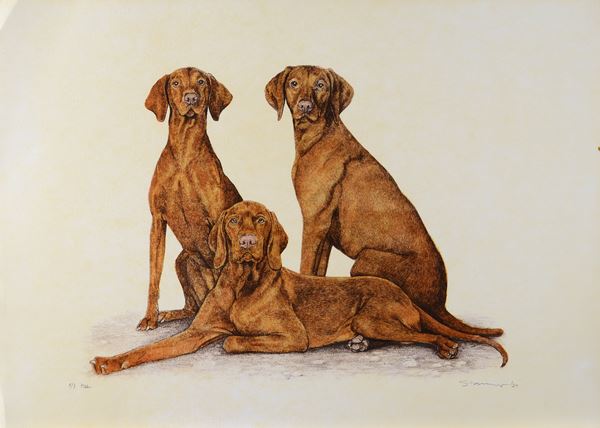 Nenad Stankovic - Coppia di cani