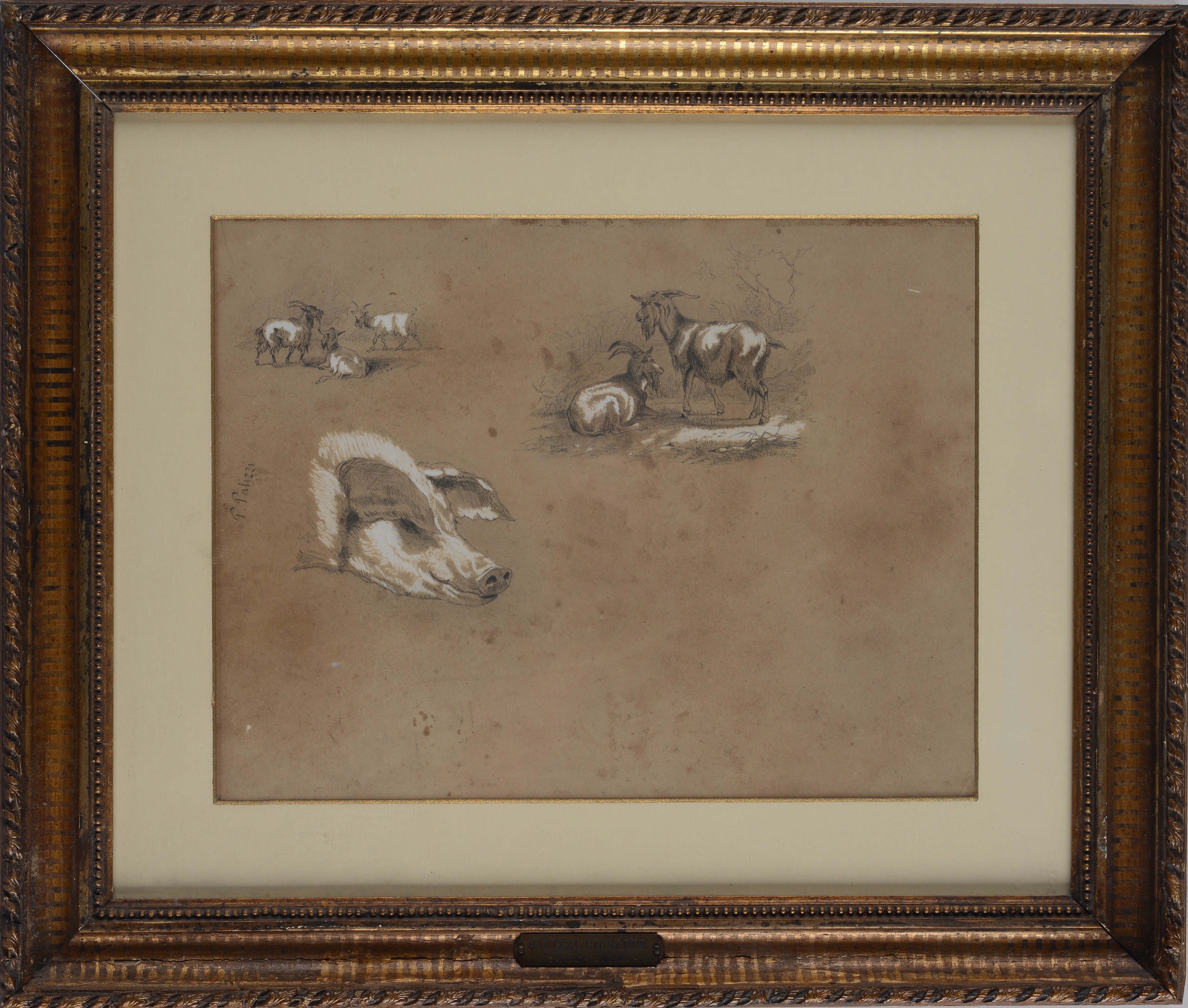 Filippo Palizzi - Studio per capre e testa di suino