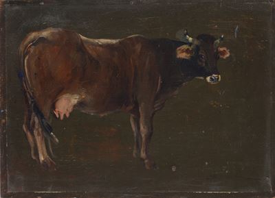 Mucca nella stalla