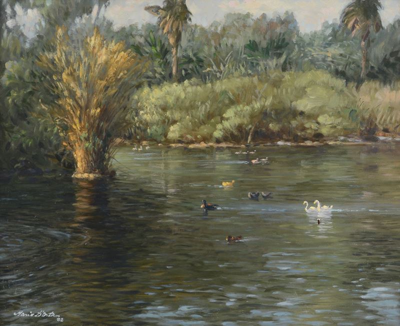 Mario D'orta - Lago dei cigni