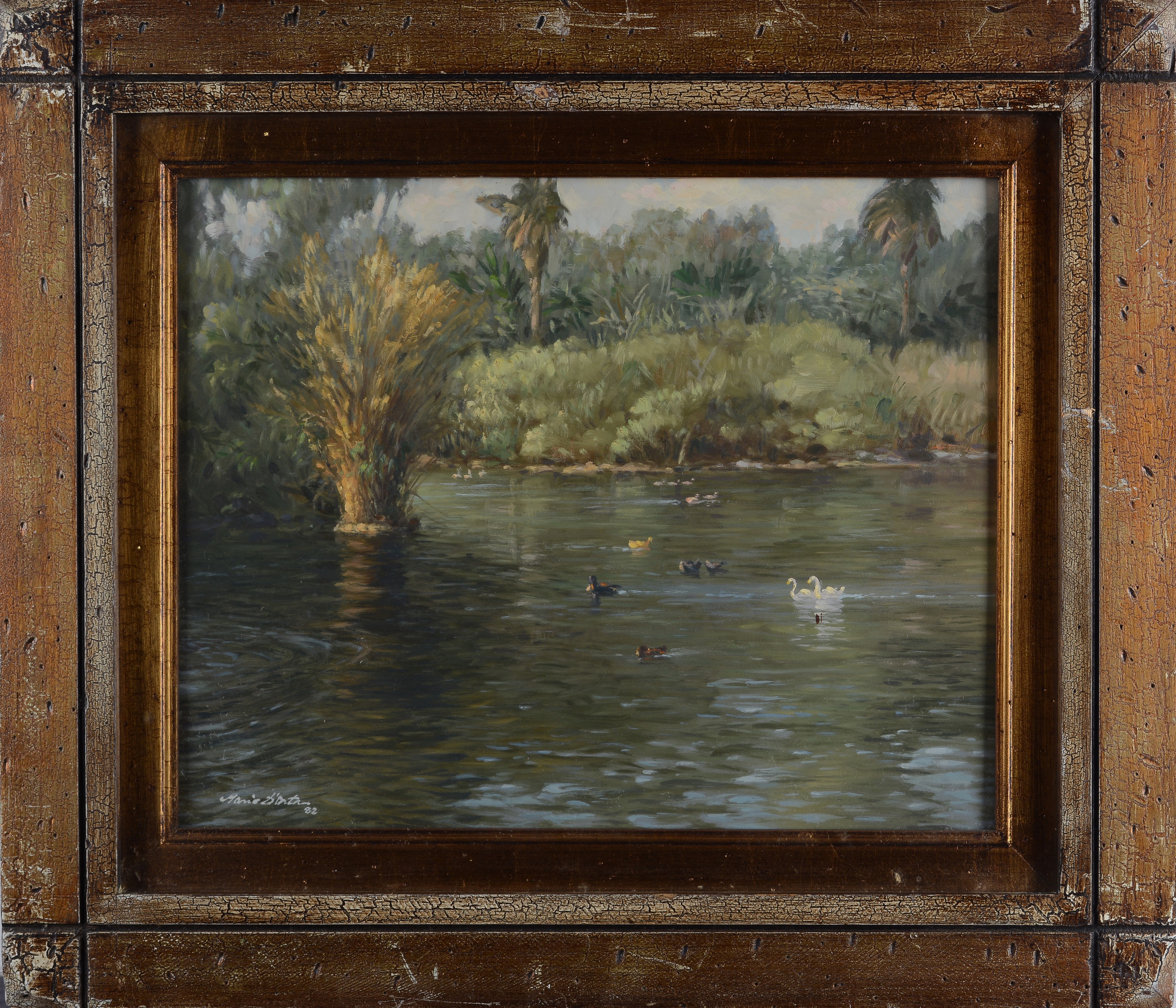 Mario D'orta - Lago dei cigni