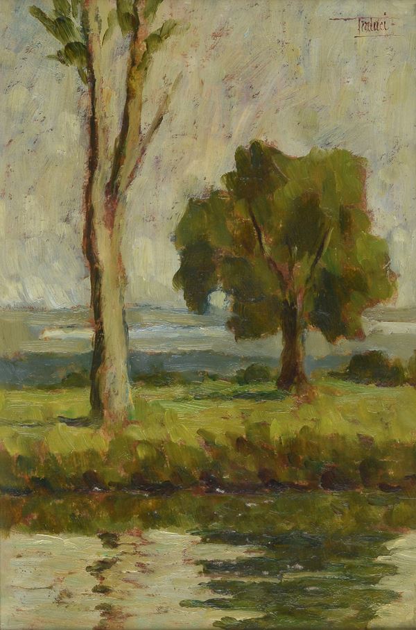Anonimo, XX sec. - Alberi