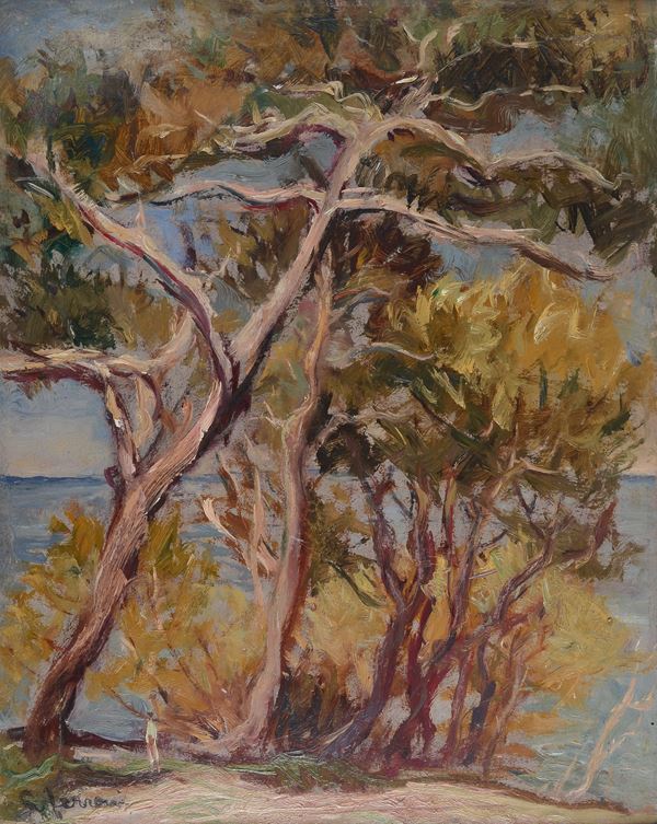 Guido Ferroni - Pini sul mare