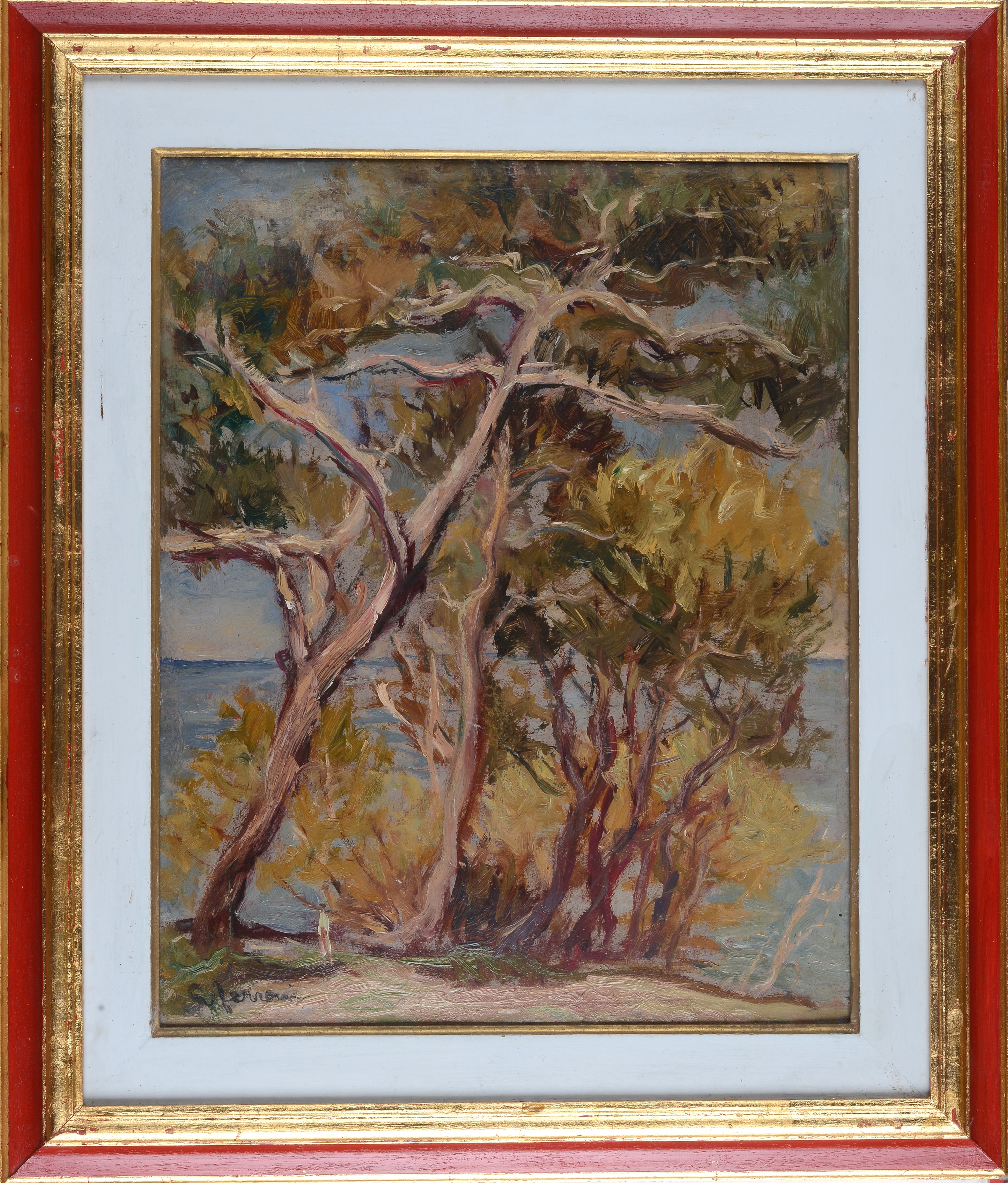 Guido Ferroni - Pini sul mare, olio su tavola