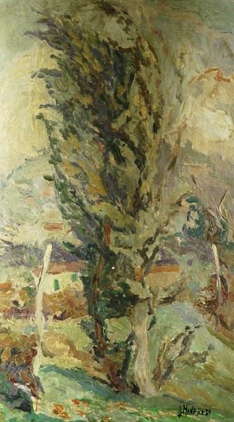 Giuseppe Manfredi - Campagna