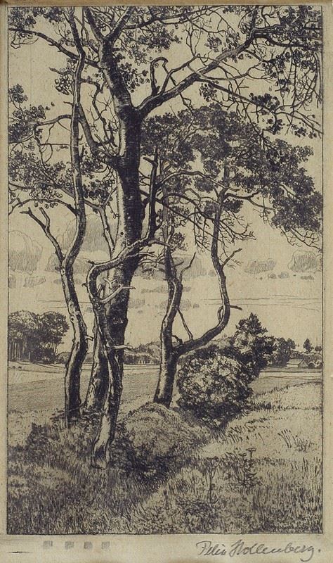 Felix Hollenberg - Alberi