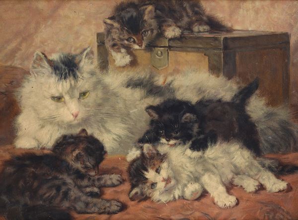 Anonimo, XX sec. - Gattini