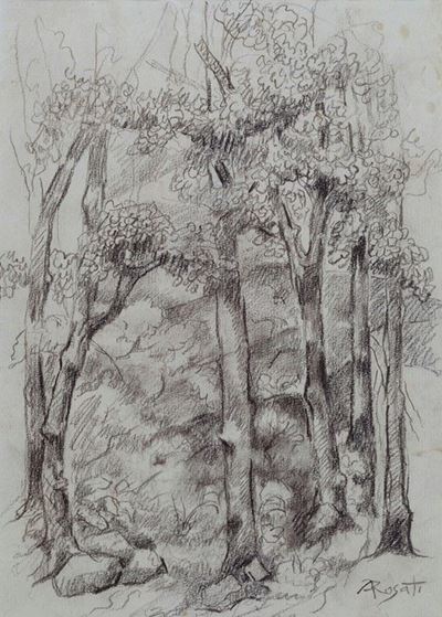Bosco