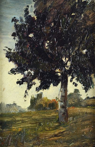 Anonimo, Albero, olio su cartone