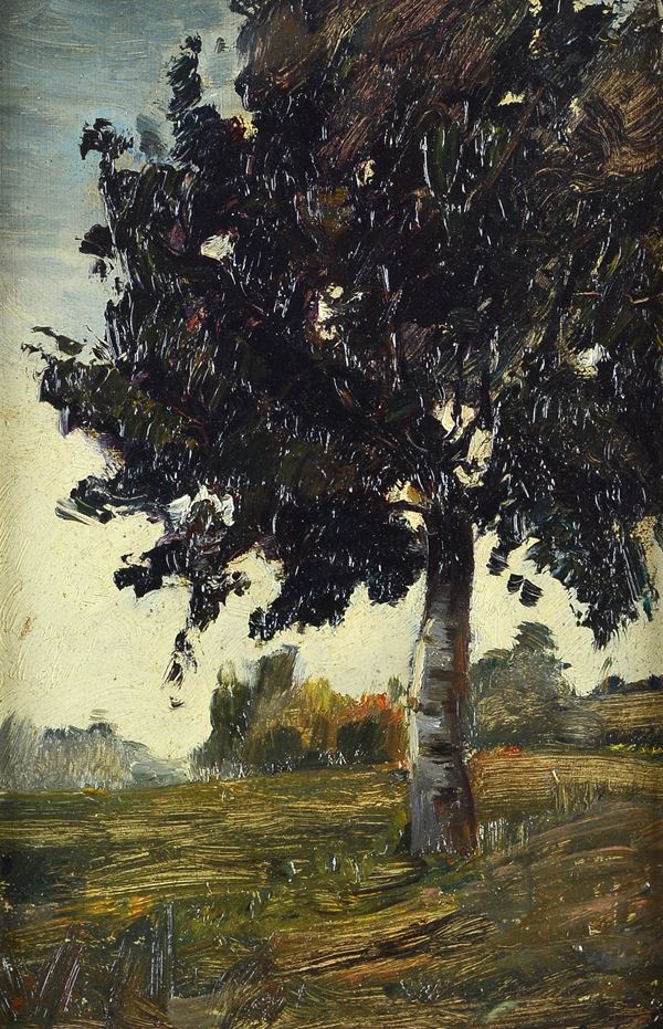 Anonimo, XIX - XX sec. - Albero