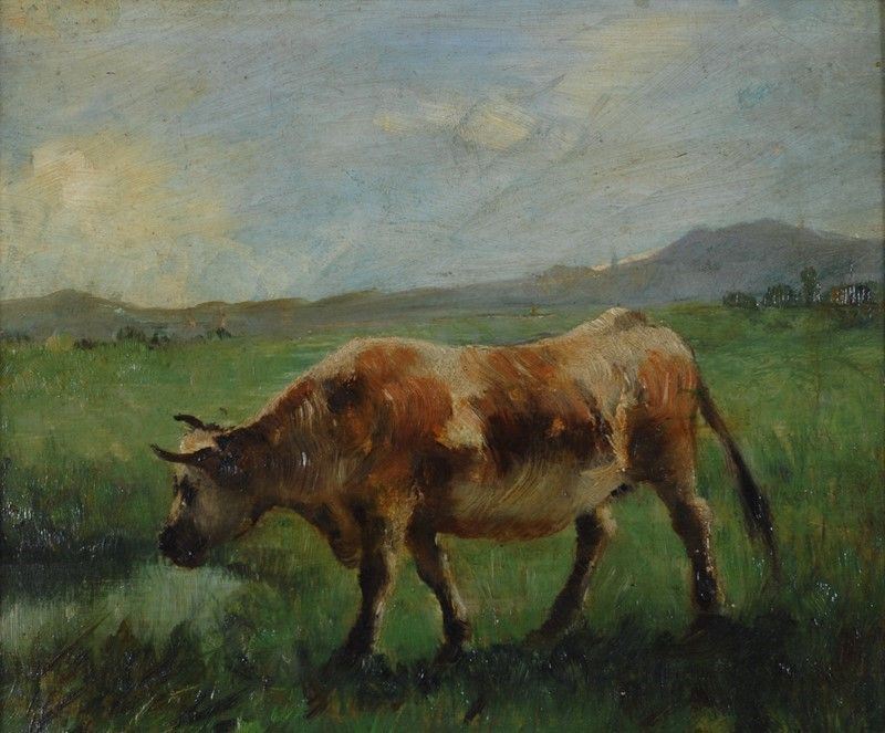 Alceste Campriani - Mucca al Pascolo