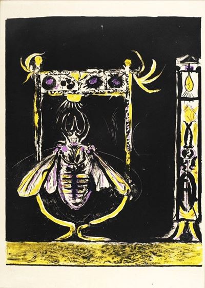 Insect