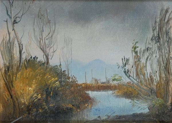 Luigi Falani - Massacciuccoli