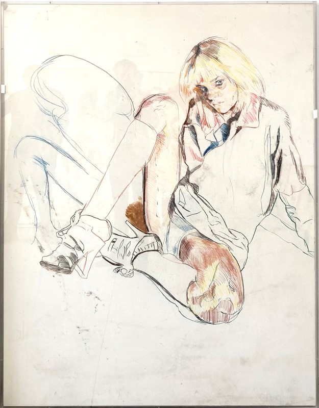 Studio per "Operation Schonheit"