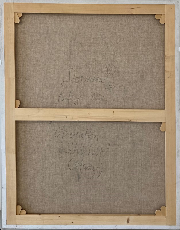 Studio per "Operation Schonheit"