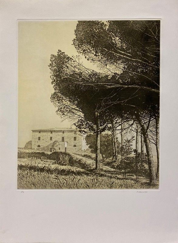 Rodolfo Ceccotti - Senza Titolo