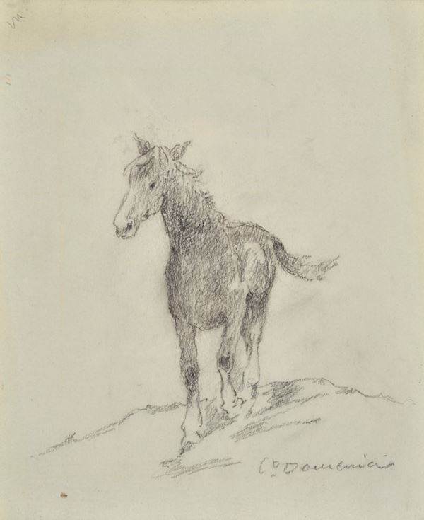 Carlo Domenici - Cavallo