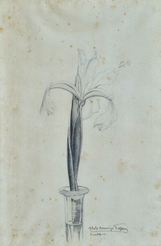 Italo Amerigo Passani - Fiore