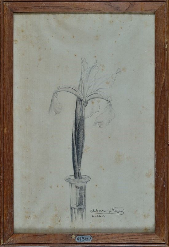 Italo Amerigo Passani - Fiore