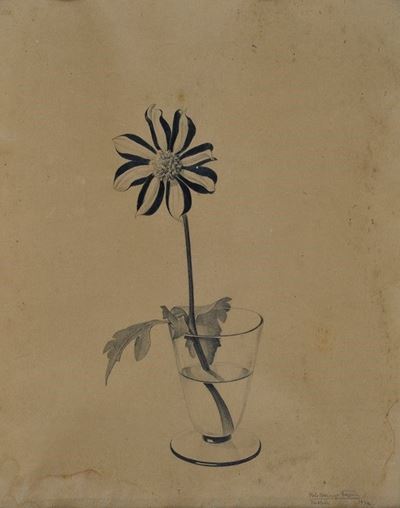 Fiore