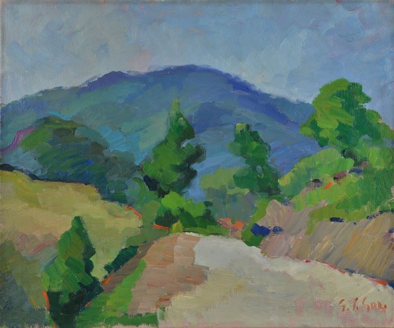 Gino Paolo Gori - Appennino tosco-emiliano