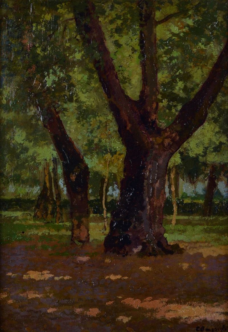 Carlo Passigli - Bosco
