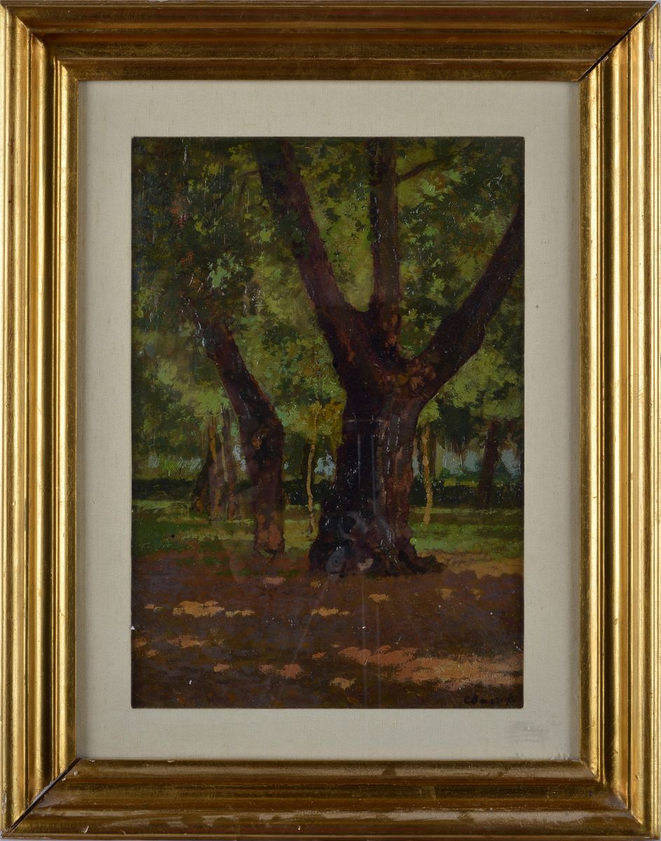 Carlo Passigli - Bosco