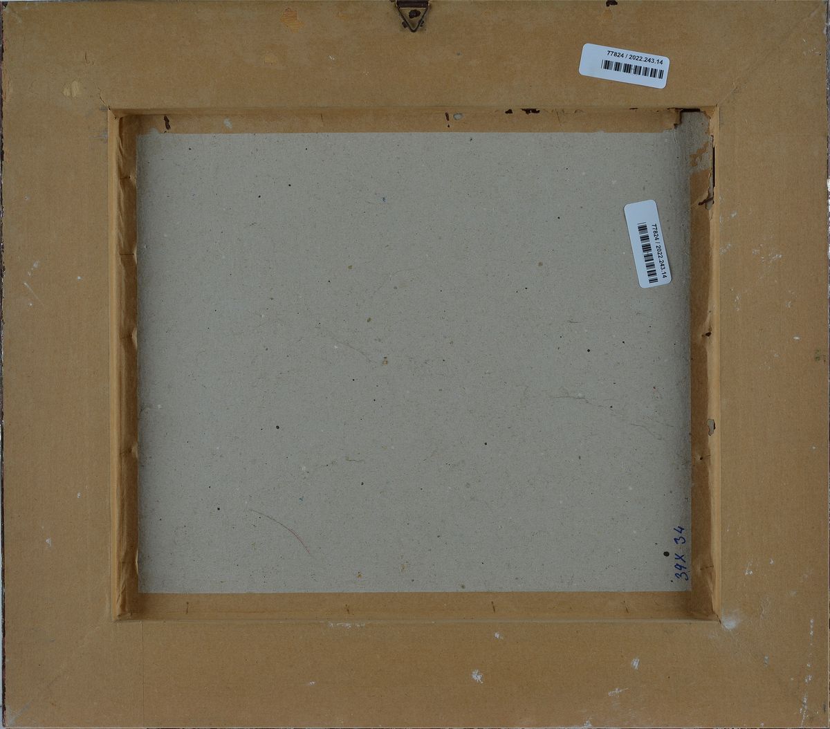 Paesaggio innevato con case