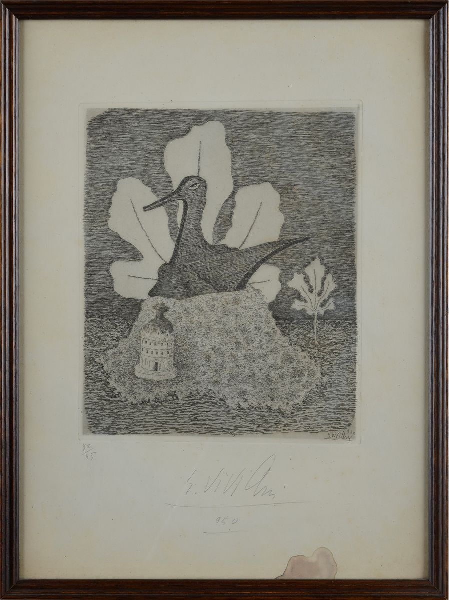 Giuseppe Viviani - Stampa e Foglia